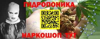 ECSTASY Конаково