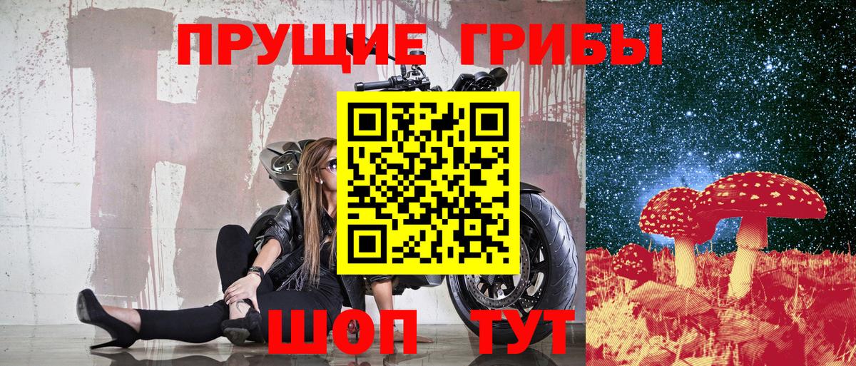 Галлюциногенные грибы MAGIC MUSHROOMS  Псилоцибиновые грибы мицелий  Вход с VPN  Донецк 